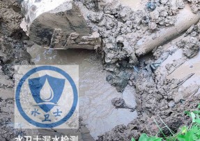 龙文区水管漏水检测公司5